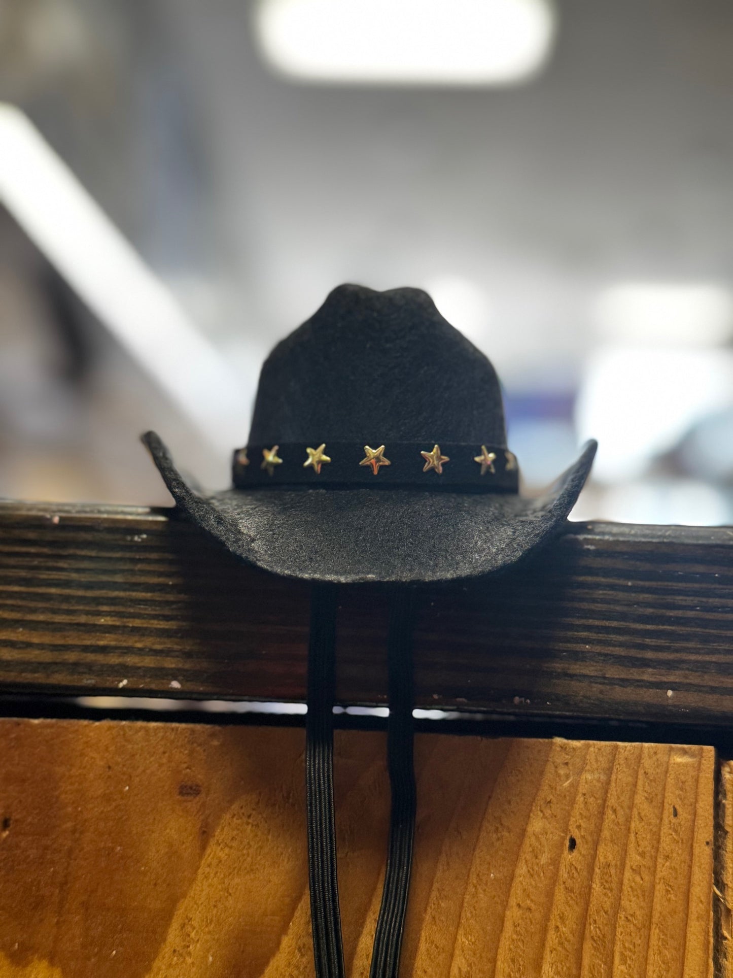 Mini Cowboy Hat (Dog hat)