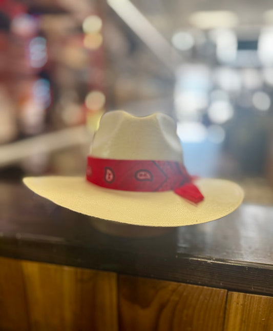 Charlie 1 Horse Dreamcatcher Straw Hat