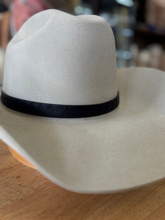 Python Hat Band