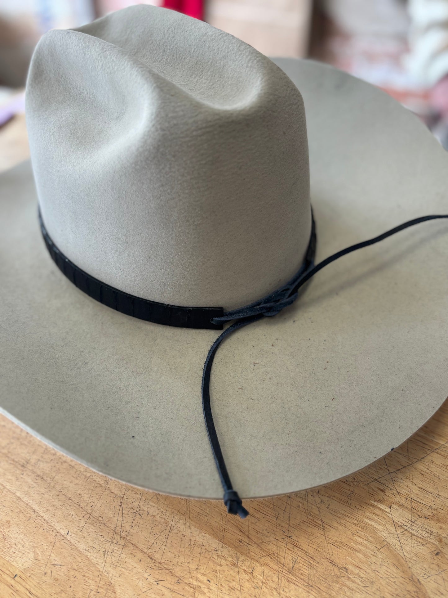 Python Hat Band