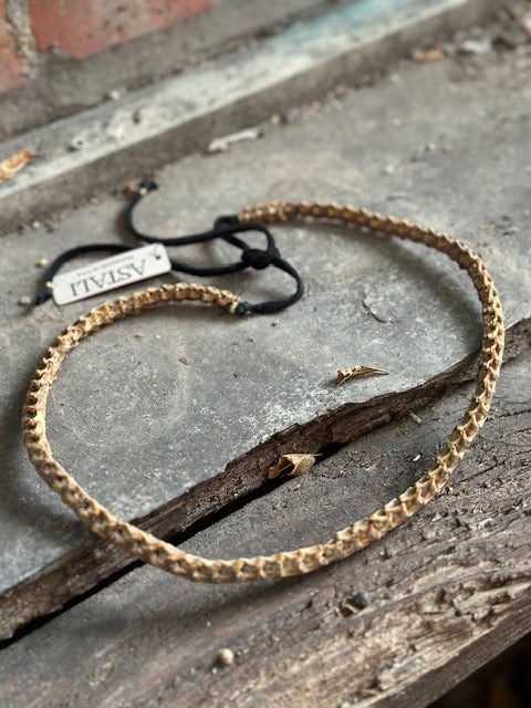 Snake Vertebrae Hat Band
