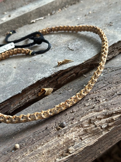 Snake Vertebrae Hat Band