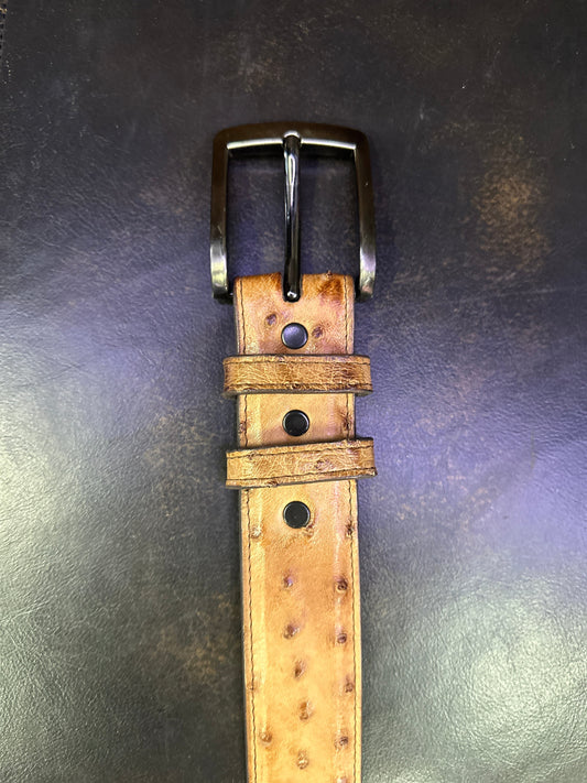 Black Jack Full Quill Ostrich Belt 1 1/2" Wide Burnished Cigar