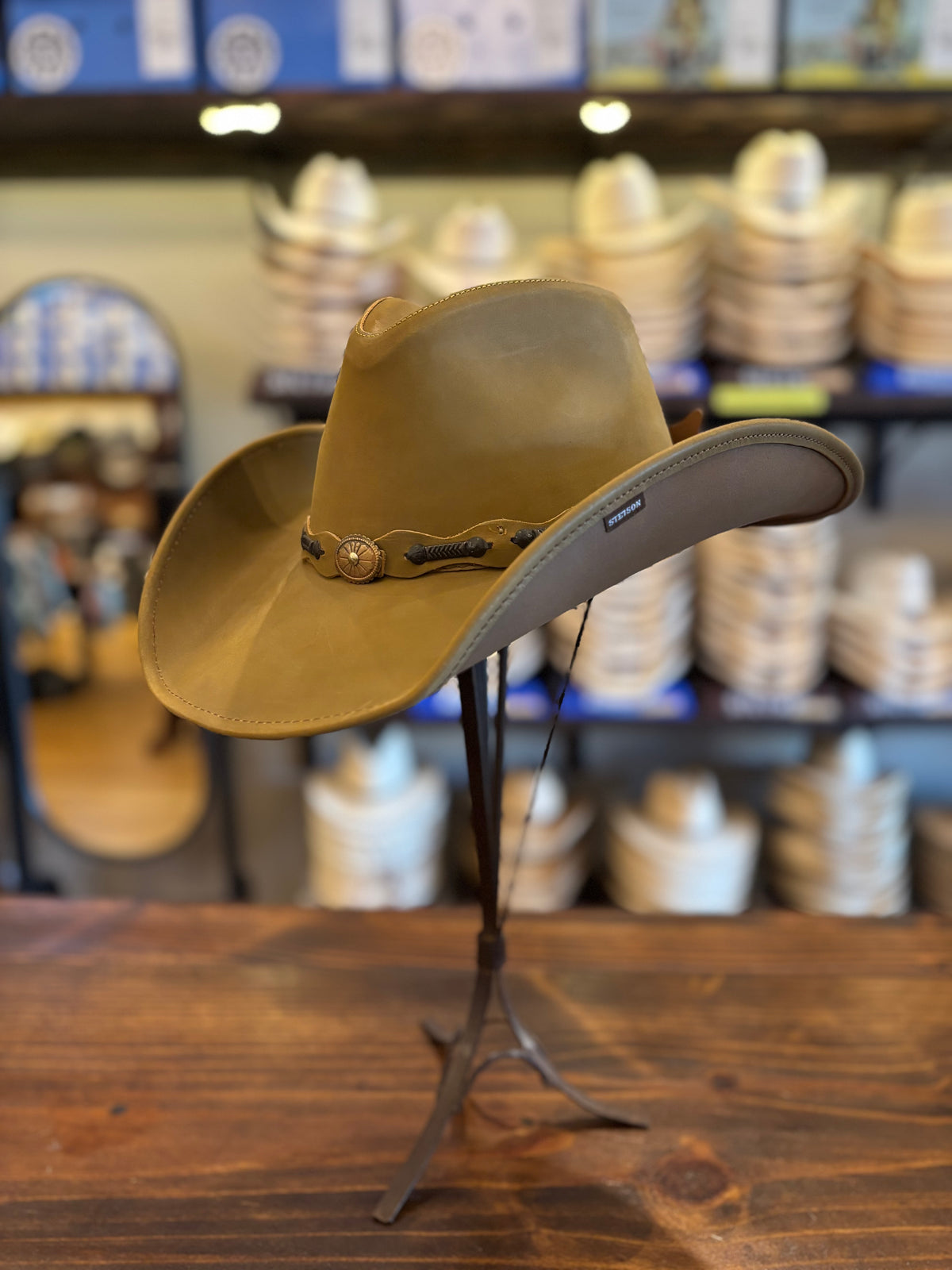 Stetson Roxbury