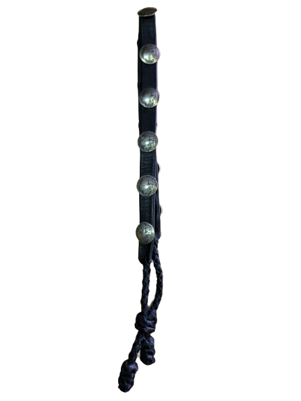 Buffalo Nickels & Leather Hatband