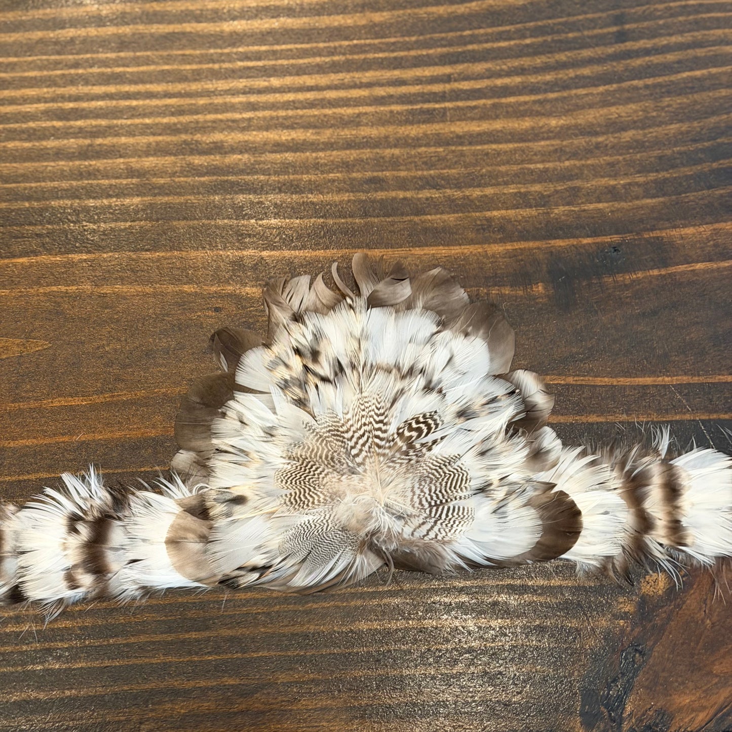 Willow Lane Feather Hat Band - Osprey