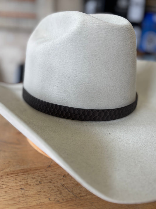 Python Hat Band