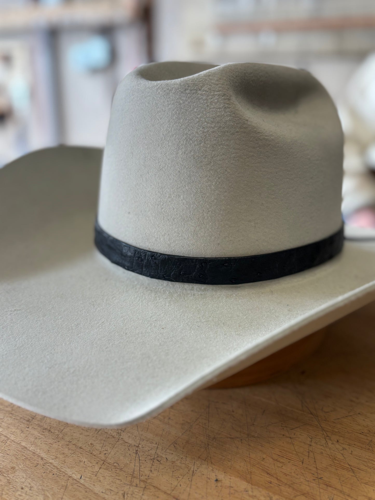 Ostrich Hat Band