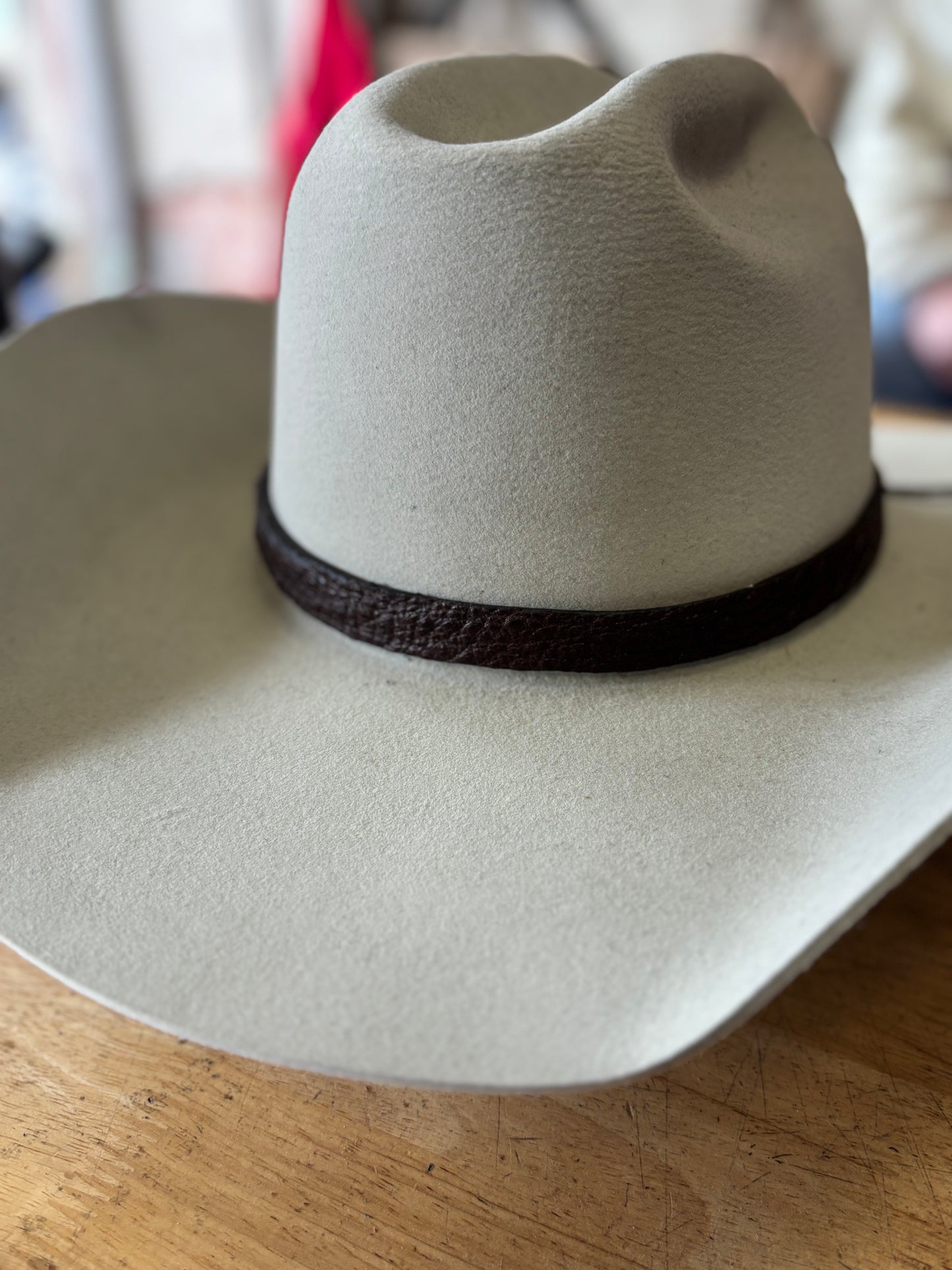 Snapping Turtle Hat Band