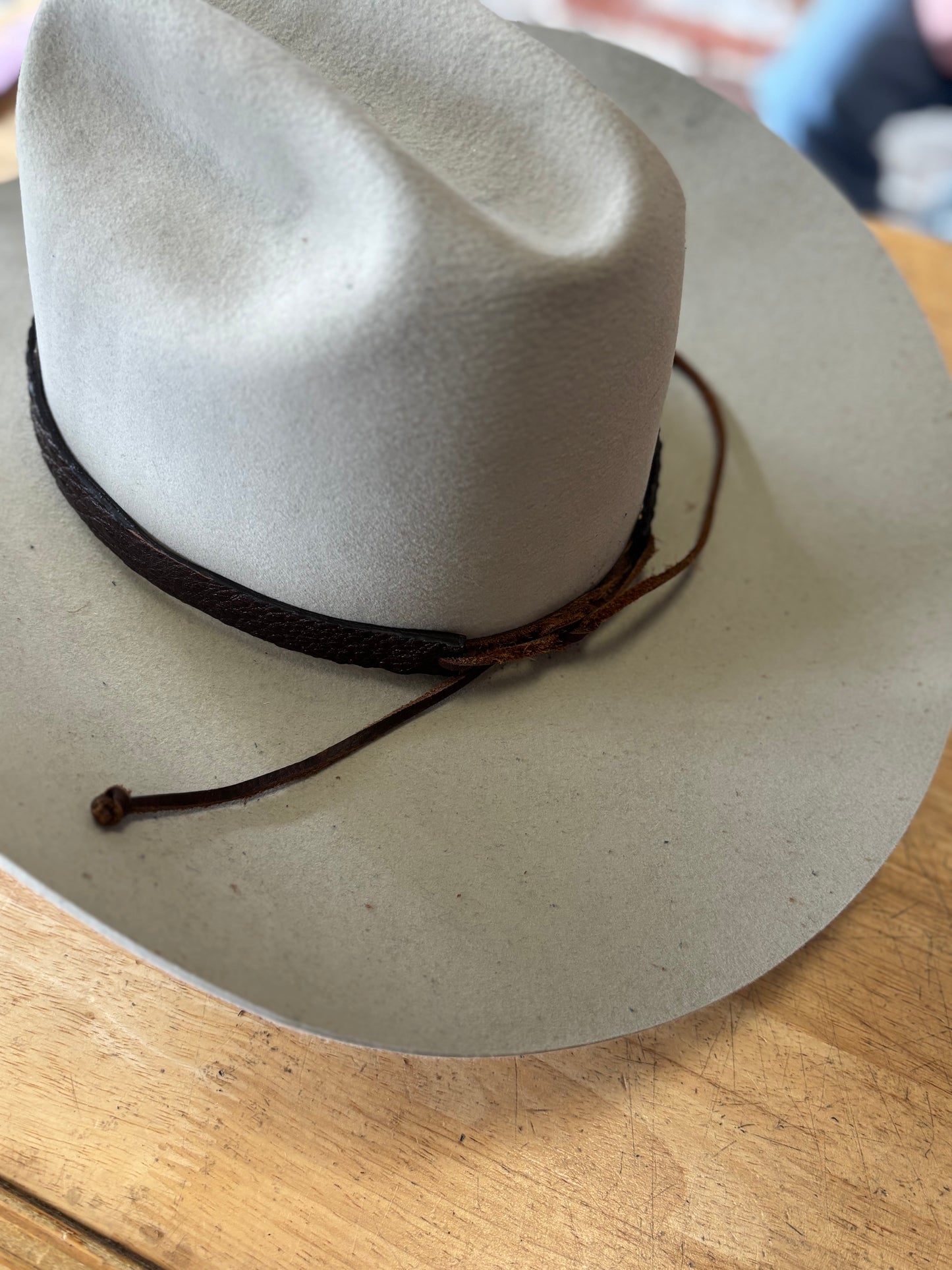 Snapping Turtle Hat Band