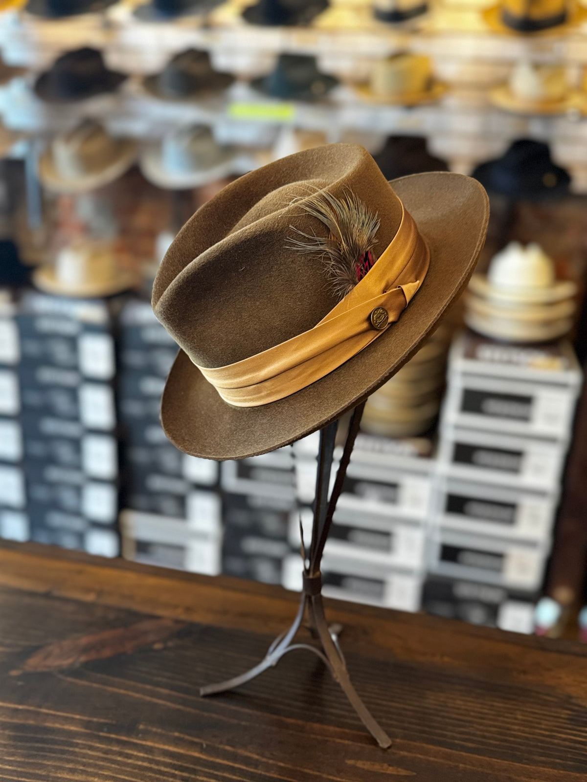 Stetson Temptation