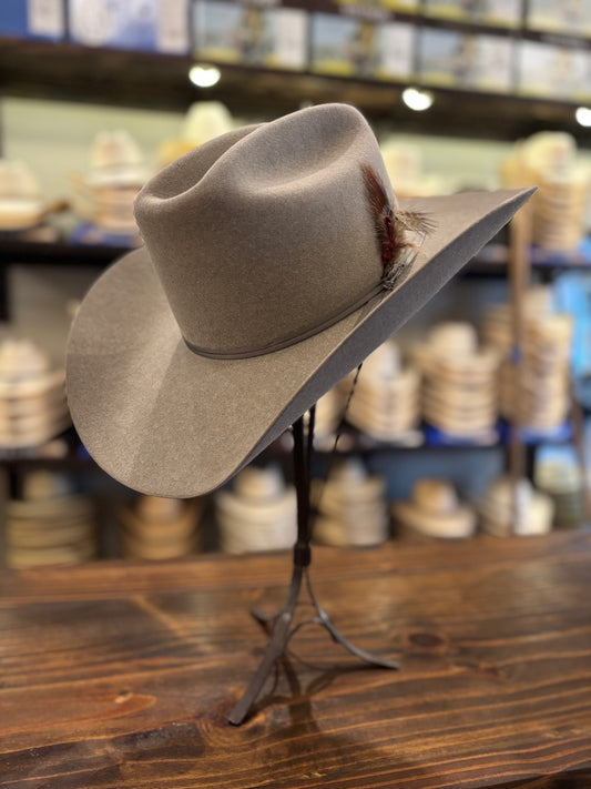 Stetson Falcon