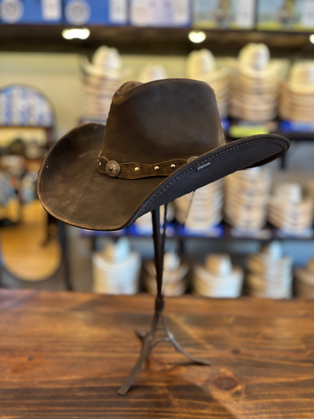 Stetson Roxbury
