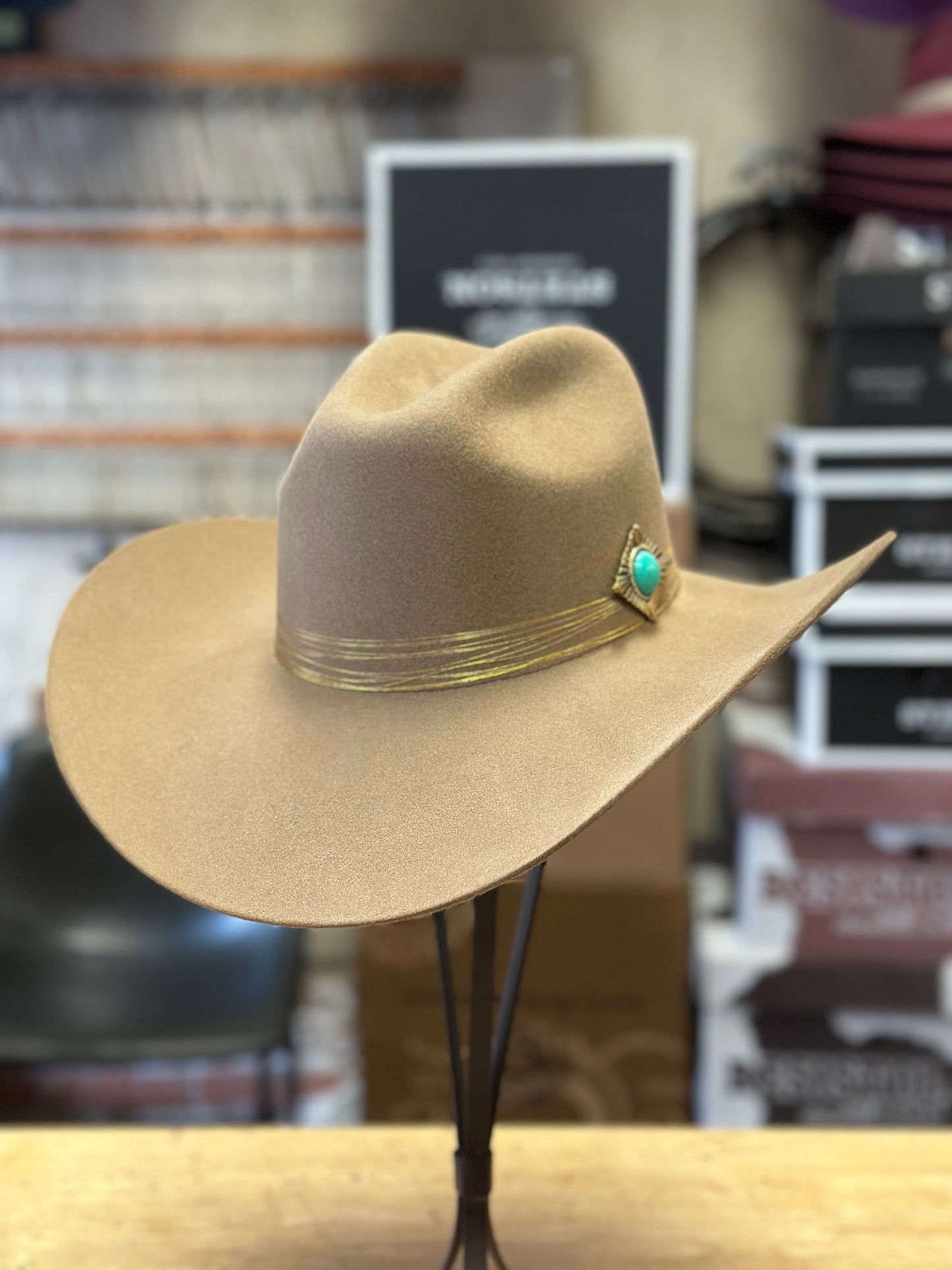 Charlie 1 Horse Keep on Strumming Felt Hat