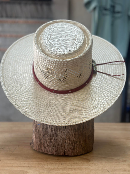 Charlie 1 Horse Painted Borders Straw Hat