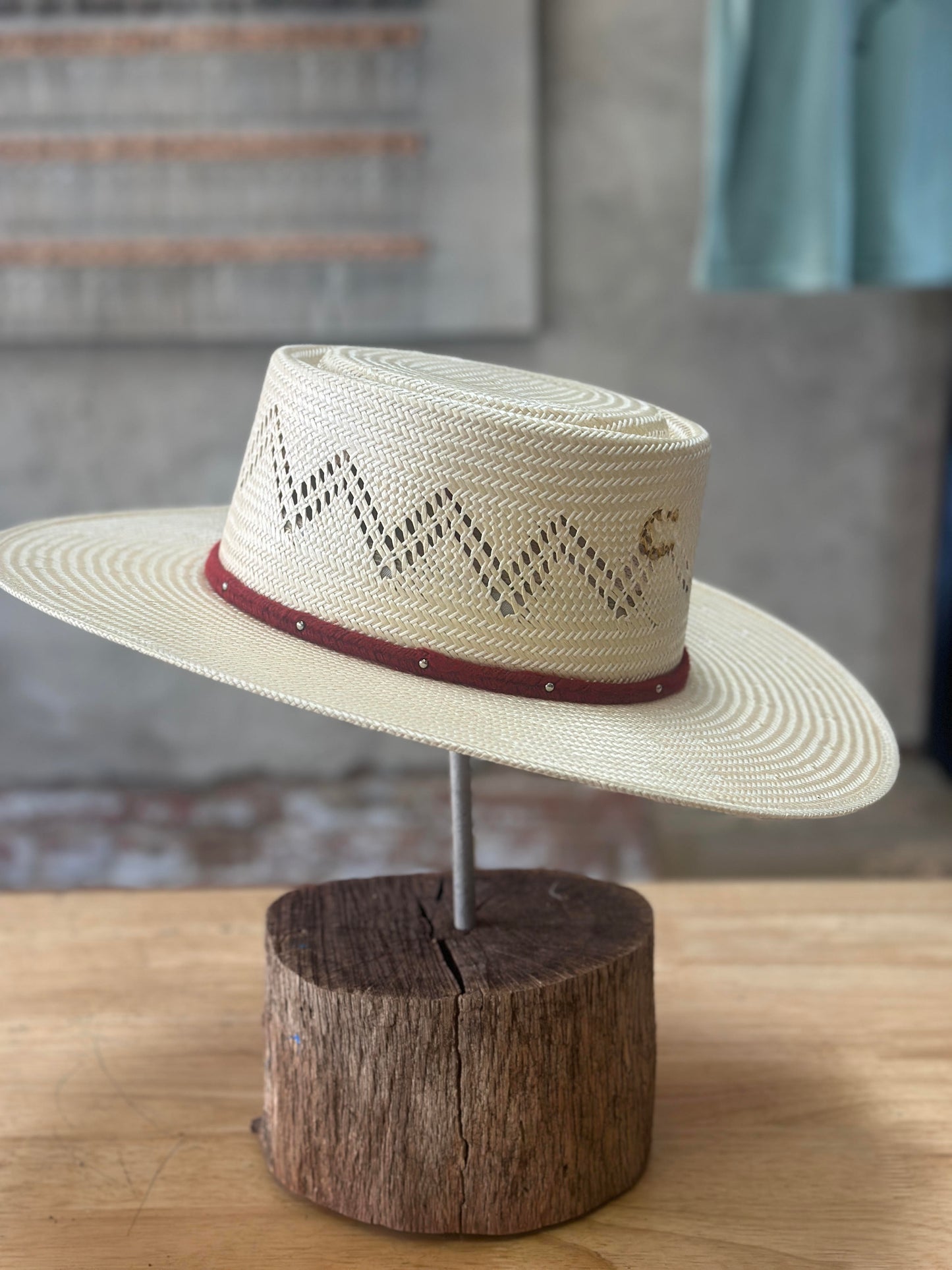 Charlie 1 Horse Painted Borders Straw Hat