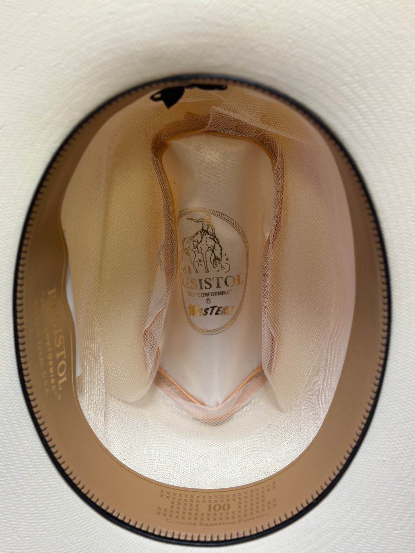 Resistol 100x top natural beaver